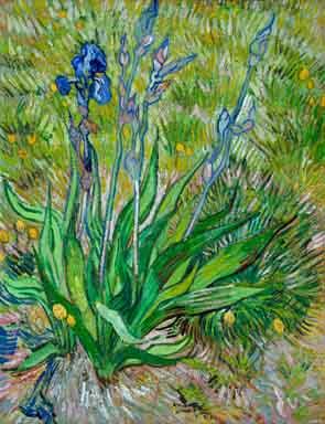 Vincent Van Gogh thinned cardboard Sweden oil painting art